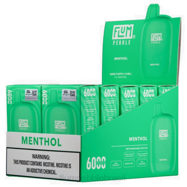 FLUM PEBBLES 6000 baforadas 10 pacotes mentol 828A58 | FLUM PEBBLE VAPE REVIEW